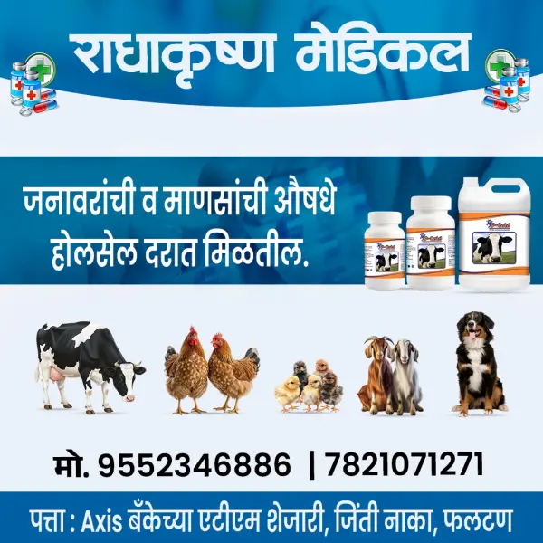 Veterinary Medical Shop Social Media Design Photoshop PSD File 2026